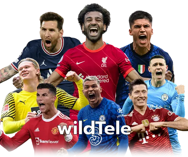 wildTele